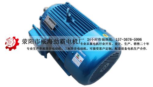 电机公司、郑州电机、电动机(查看)  电机厂家  高效节能电机