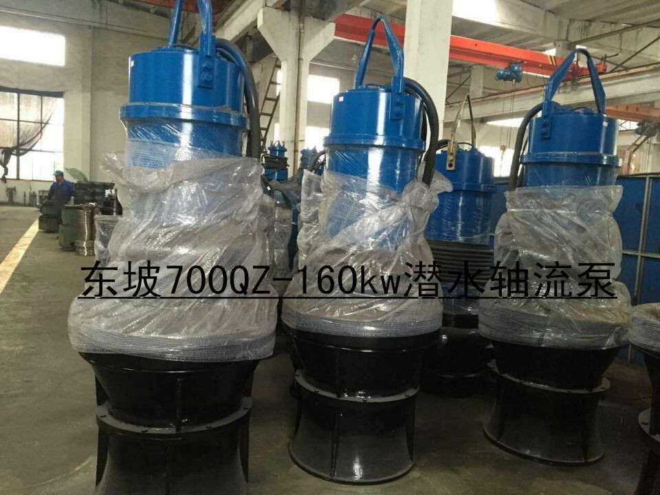 天津高效潜水轴流泵-天津轴流泵&nbsp;&nbsp;不锈钢潜水泵&nbsp;&nbsp;热水潜水泵&nbsp;&nbsp;深井潜水泵