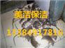 西安碑林区家庭、小区灭鼠