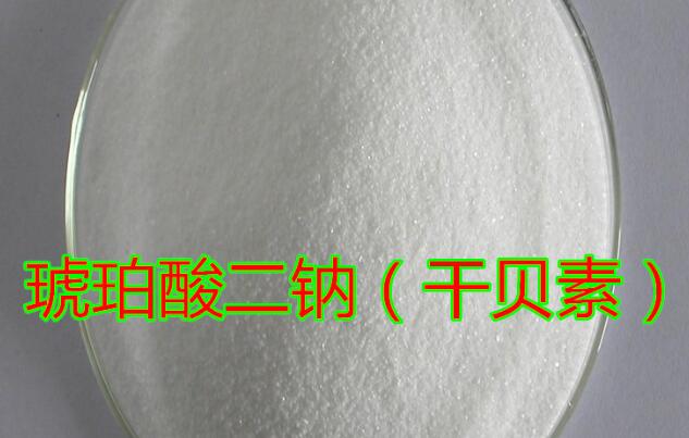 干贝素  (琥珀酸钠) 干贝素价格  干贝素含量  干贝素生产厂家