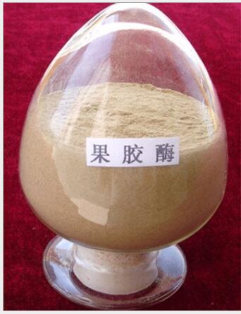 果胶酶  果胶酶价格  果胶酶生产厂家  食品级果胶酶