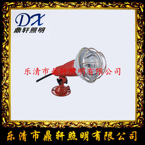 TG65-C投光灯 TG65-C-450W船用投光灯  TG65-C船用投光灯