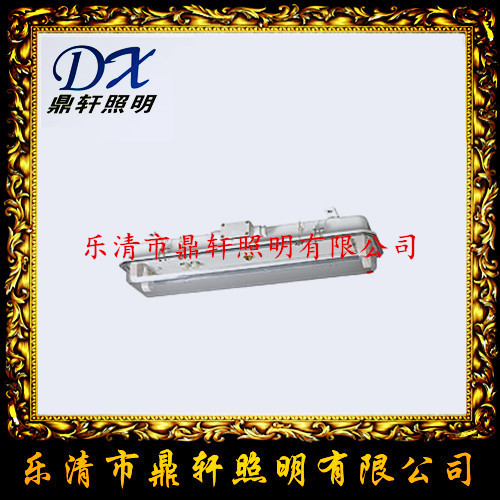 CFY20防爆灯 CFY20-2*20W双管船用防爆灯  CFY20-2船用防爆灯