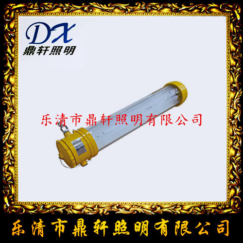 TG65投光灯 TG65-450W船用投光灯多少钱  TG65投光灯多少钱