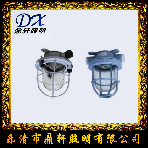 TG67A-C500投光灯/温州船用投光灯厂家/价格  TG67A-C500价格