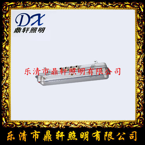CFY21-2防爆灯 CFY21-2船用荧光防爆灯  CFY21-2船用荧光灯  CFY21-2船用防爆灯