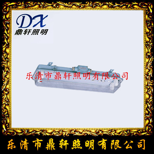 CFT1防爆灯 CFT1-400W防爆投光灯价格  CFT1-400W价格  CFT1防爆投光灯