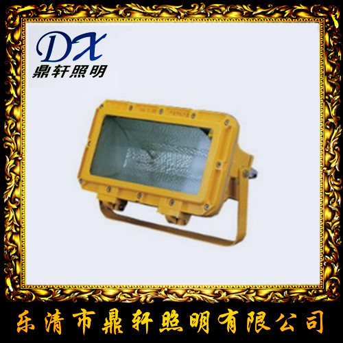 TG2-B投光灯 TG2-B-300W TG2-B船用投光灯