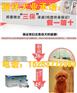 内蒙古萨摩耶犬出售价格