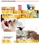 钦州纯种黑狼幼犬价格