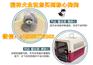 石河子卖德国牧羊犬的地方在哪了