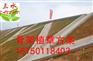 马关文山砚山高速边坡TBS植草施工提供设备价格合理