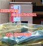 白鹿原KTA19发电机组喷油器3077715优惠价嘉轩