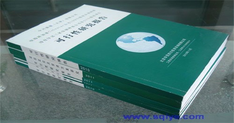 四子王旗化纤投标书丨稳定评估编写