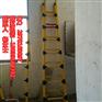 圆管绝缘单梯定做 电力新款绝缘单直梯