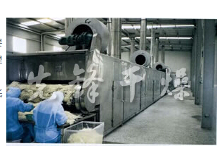 中药配方颗粒专用干燥机