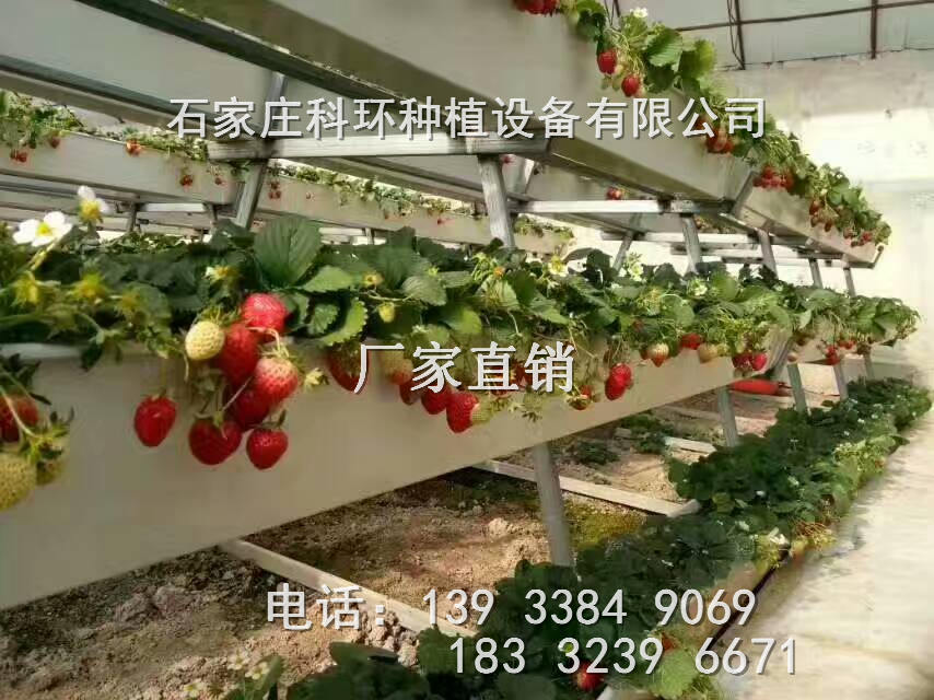 草莓立体种植槽挤出工艺 科环品牌厂家  草莓种植槽  草莓种植槽厂家