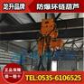 防爆环链葫芦25吨，高强度锰钢链条，操作更安全