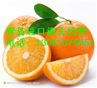 橙子进口清关代理