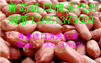 青岛花生进口报关 青岛花生进口报关