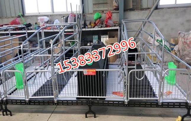 养猪设备母猪产床猪用产床河北沧州生产厂家  养猪设备产床  产床厂家