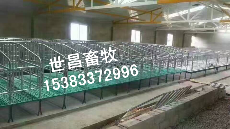 母猪保胎定位栏 定位栏猪用世昌报价  母猪保胎栏  母猪定位栏