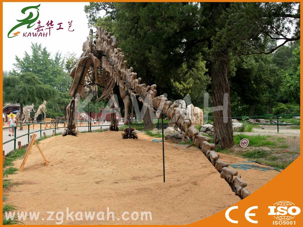 可盈利型恐龙产品，别致的大型仿真恐龙骨架  大型仿真恐龙骨架模型  仿真恐龙租赁公司  仿真打斗恐龙租赁