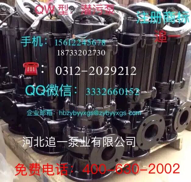 河北追一泵业提供质量良好的潜污潜水泵WQ&nbsp;&nbsp;WQ潜污泵