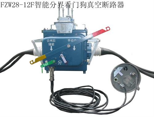 真空断路器,伟秀电力,ZW7-40.5高  FZW28-12  ZW10高压真空