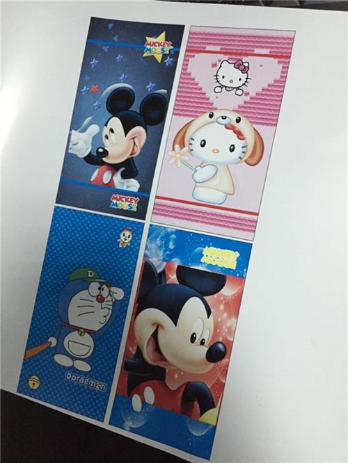 智能数码PET彩印机、PET彩印机、卡诺  IMD工艺PET  手机护套PET彩  白墨垫底PET彩