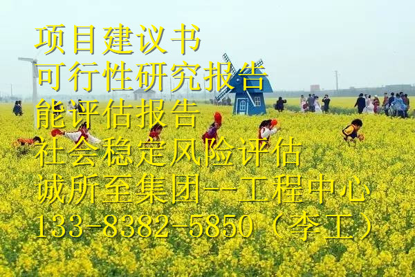 甲级资质编写实选可研单位七台河市