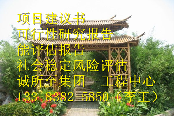 甲级资质编写稳评上会公司郴州市桂东县