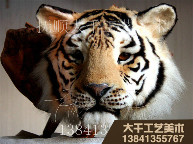 厂家批发仿真动物，优惠的仿真老虎知名厂家&nbsp;&nbsp;仿真狮子