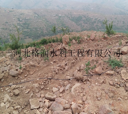 山西小管出流价格 太原果树滴灌滴头灌溉系统