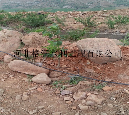 山西太原果树滴灌滴头装置 小管出流系列