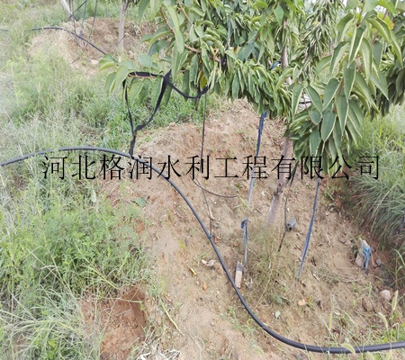 河北小管出流价格承德果树滴灌性能材质