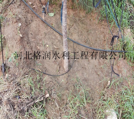 河北小管出流价格承德果树滴灌性能材质