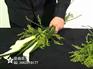 花艺培训哪里有，去哪里学习花艺好
