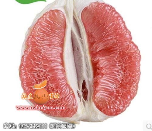 上海红心柚子苗价钱，供应福建有品质的红心  红心蜜柚苗  大三红蜜柚苗