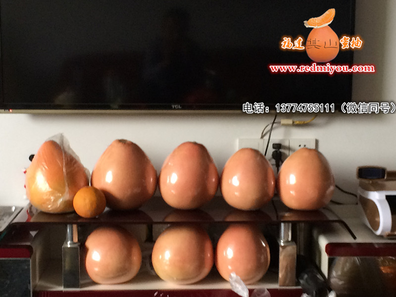 优惠的三红柚子苗，供应福建质量好的三红柚  福建三红柚子苗  哪里有三红柚子苗
