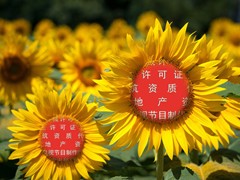 北京地区税务异常怎么解-税务注销 北京吊销转注销公司 税务被异常后怎么处理 北京公司注销