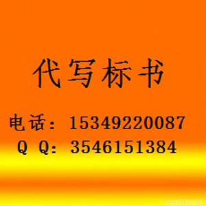 西安代写标书