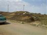 漳州羊粪有机肥_安新羊粪有机肥_桂花有机