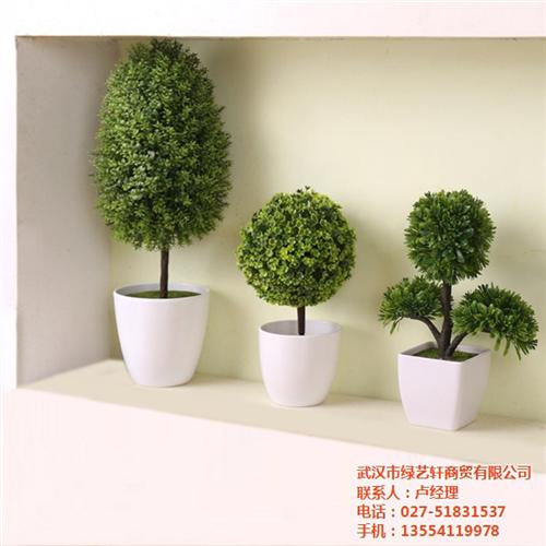 凌源市绿植租摆,绿艺轩,室内绿植租摆服务  公司办公室绿植租  专业绿植租摆厂家