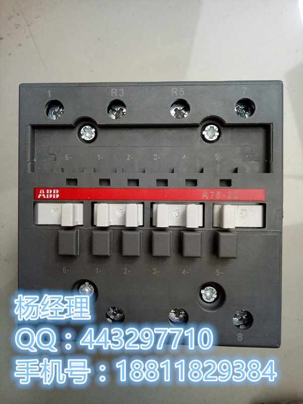 ABB双电源DPT63-CB010 C2 2P顺丰 电流安全 疯狂特惠 推荐