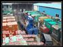武汉发电车出租、东西湖发电车、发电车批发