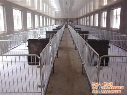 自动化养猪设备|养猪设备|养猪设备生产厂  养猪设备厂  养猪设备销售