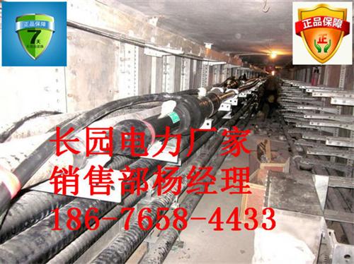 110kv 电缆头、长园(国网供应商)