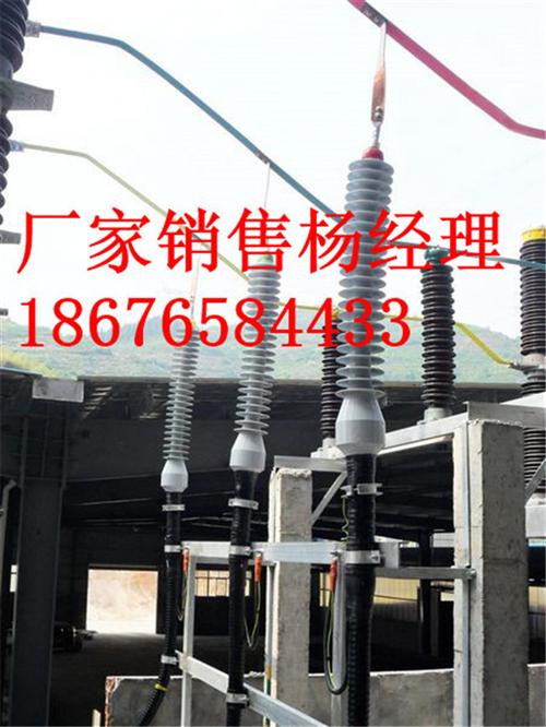 长园厂家(多图),110kv交联电力电缆