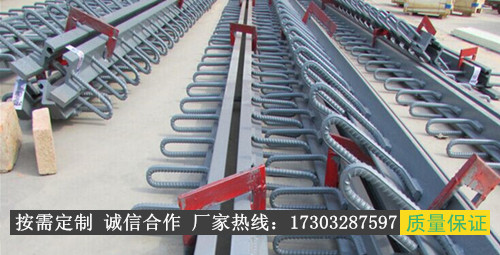 福建莆田SSF80型梳齿钢板伸缩缝生产厂家&nbsp;&nbsp;伸缩缝厂家&nbsp;&nbsp;伸缩缝价格&nbsp;&nbsp;桥梁伸缩缝